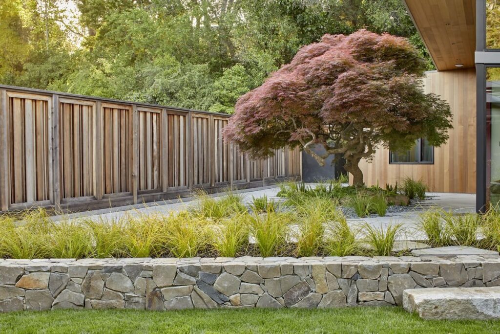 Maple tree in garden, Minimalist Garden Design