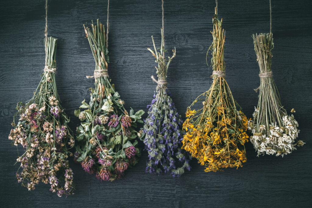 Dried flowers hanging