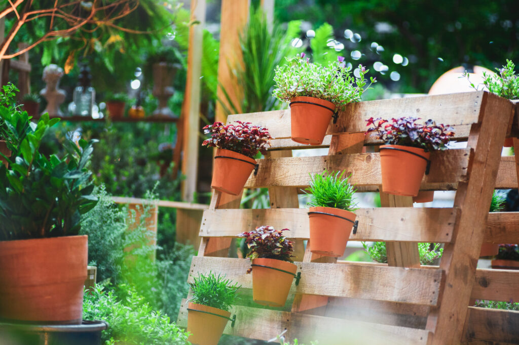 pots on wooden shelf